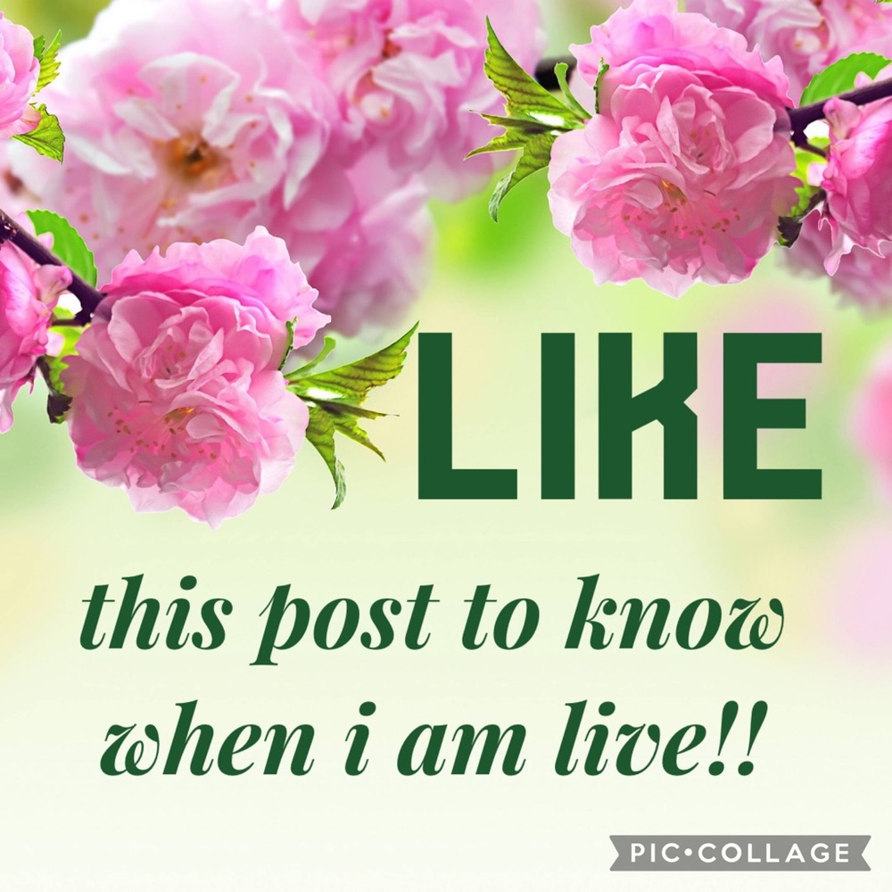 ✨⭐️💫LIKE THIS POST TO KNOW WHEN I AM GOING TO BE LIVE!! 💕💕💕🌹🌸💐🌺🌷🌻🌼